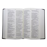 La Nouvelle Bible Segond