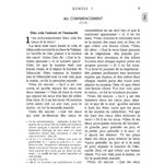 La Bible Version Nouvelle Français Courant (NFC), Avec gros caractères - Couverture semi-rigide bleue, Tranche dorée, Sans les livres deutérocanoniques