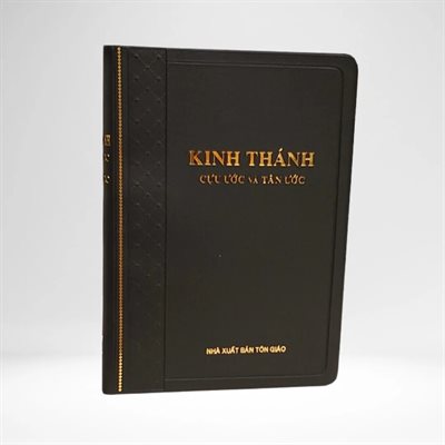 Vietnamese Bible 