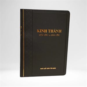 Vietnamese Bible 