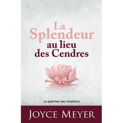 La Splendeur au lieu des cendres (La guérison des émotions)