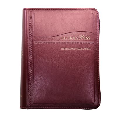 The Holy Bible - Good News Translation (GNT)