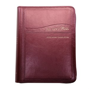 The Holy Bible - Good News Translation (GNT)